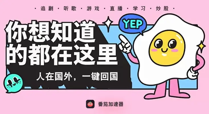 vpn 大陆评价