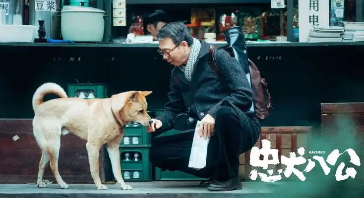 QQ阅读在南非用不了怎么办